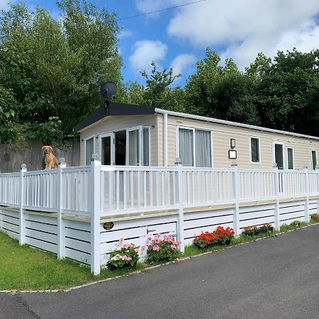 Mollys Retreat Pet Friendly Three Bed Caravan With Small Garden Newquay Bay Resort Quieter Area Of Park 外观 照片