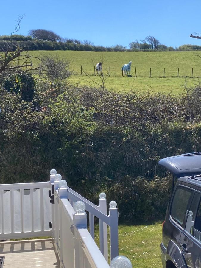 Mollys Retreat Pet Friendly Three Bed Caravan With Small Garden Newquay Bay Resort Quieter Area Of Park 外观 照片